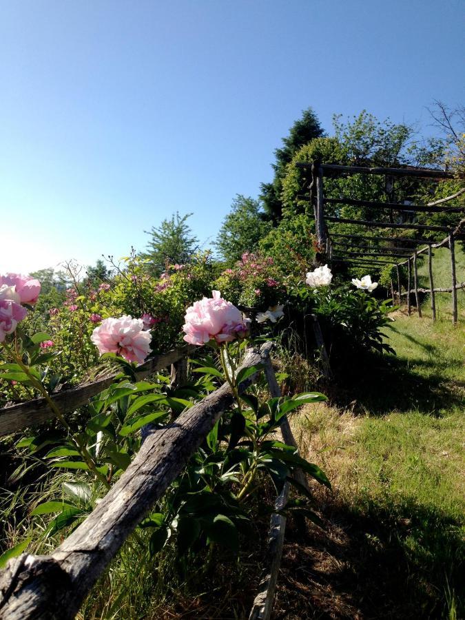 B&B Al Giardino Dei Mandorli Prasco Exterior photo
